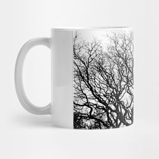 Winter wood in the country. Mug